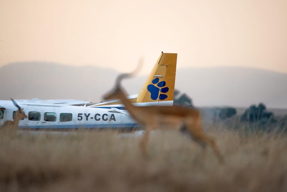 Mombasa Air Safari Team or Aircraft