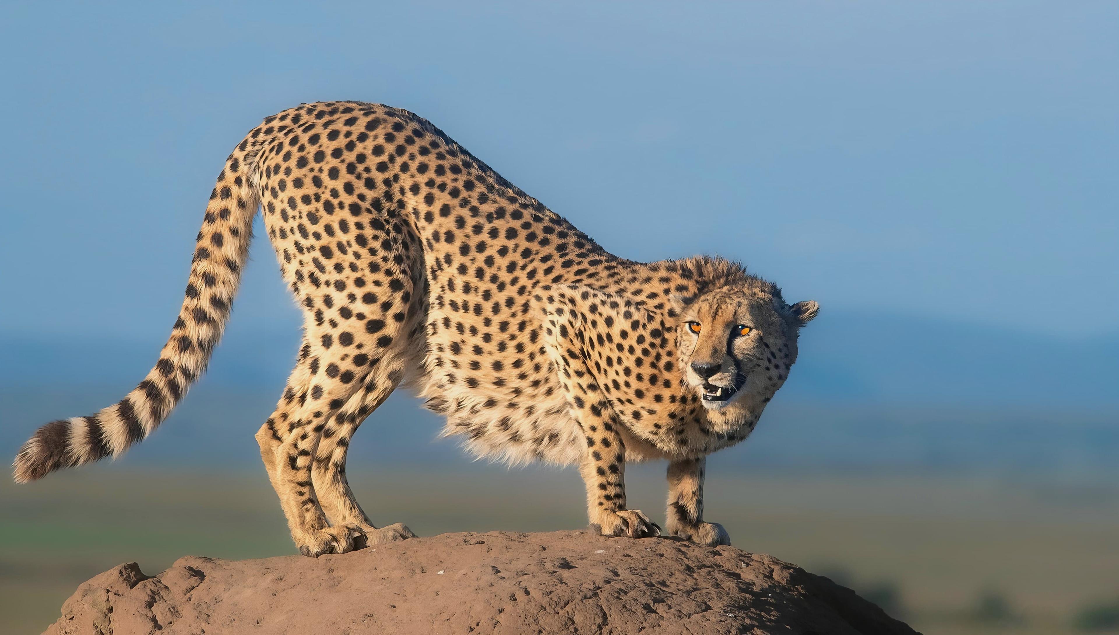 Coastal Escapes for Every Tourist