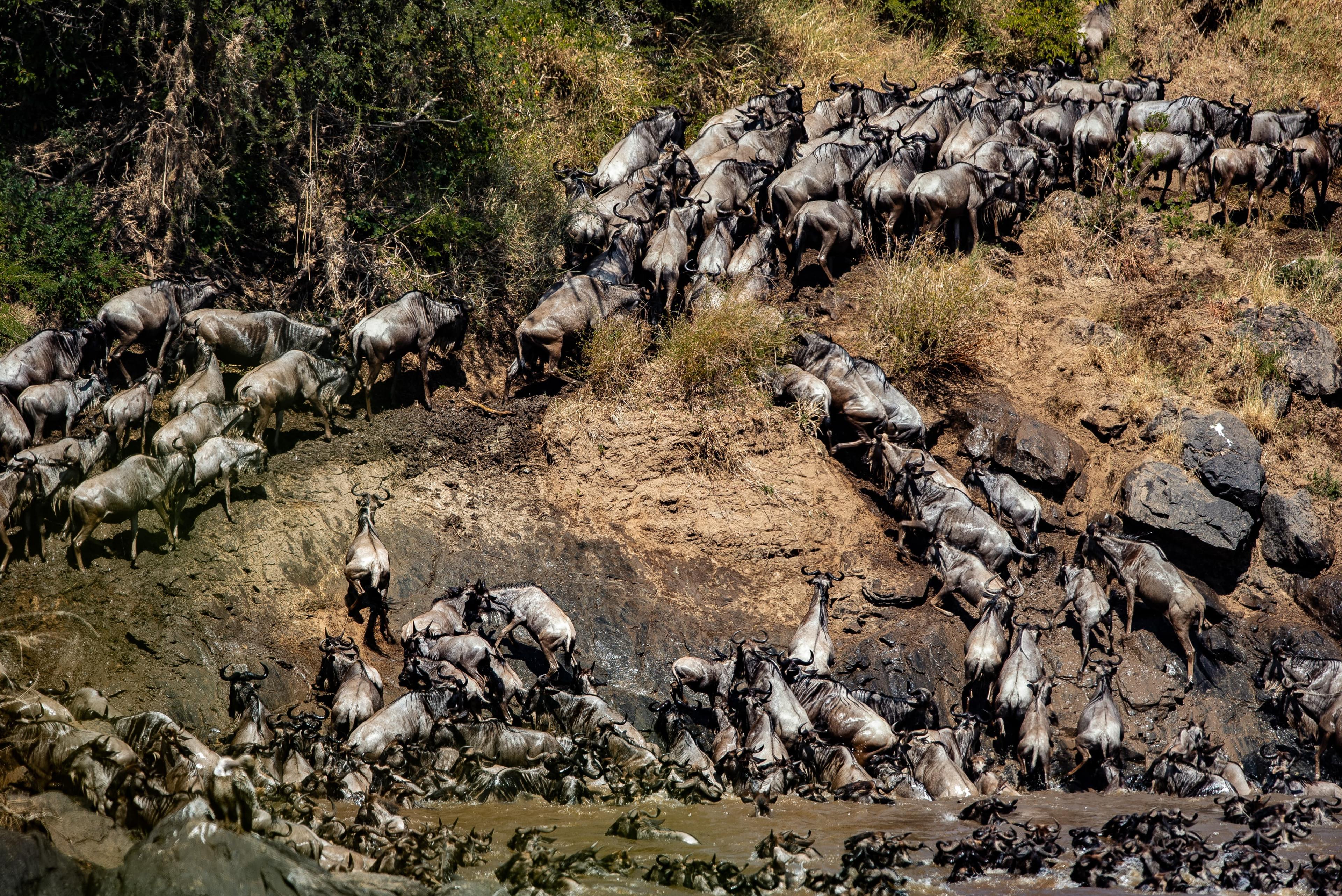 Scenic Flights, Unforgettable Tourist Memories